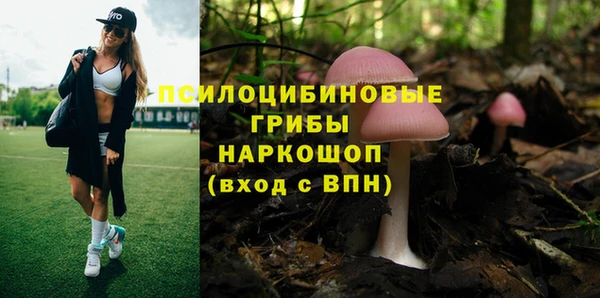 каннабис Новодвинск