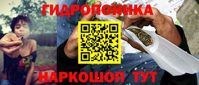 стафф Заводоуковск