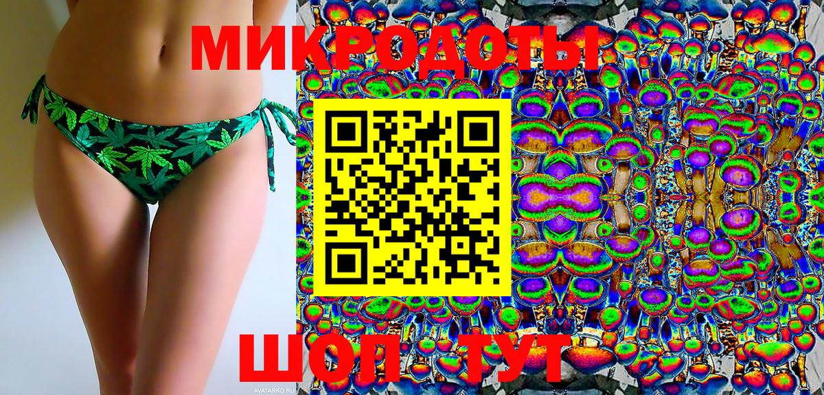 Галлюциногенные грибы Psilocybe Нововоронеж