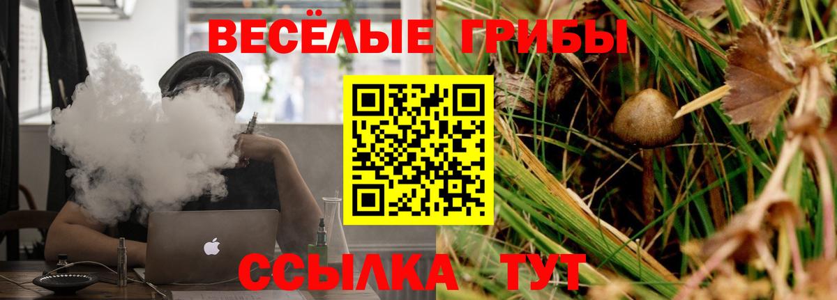Нововоронеж  наркотики  Псилоцибиновые грибы GOLDEN TEACHER  Вход с VPN  Псилоцибиновые грибы Magic Shrooms 