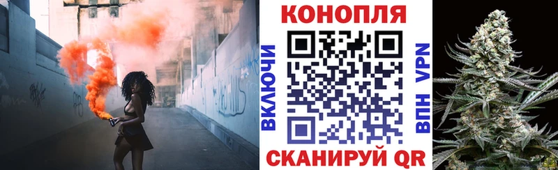 blacksprut рабочий сайт  Нововоронеж  Бошки Шишки White Widow  как найти наркотики 